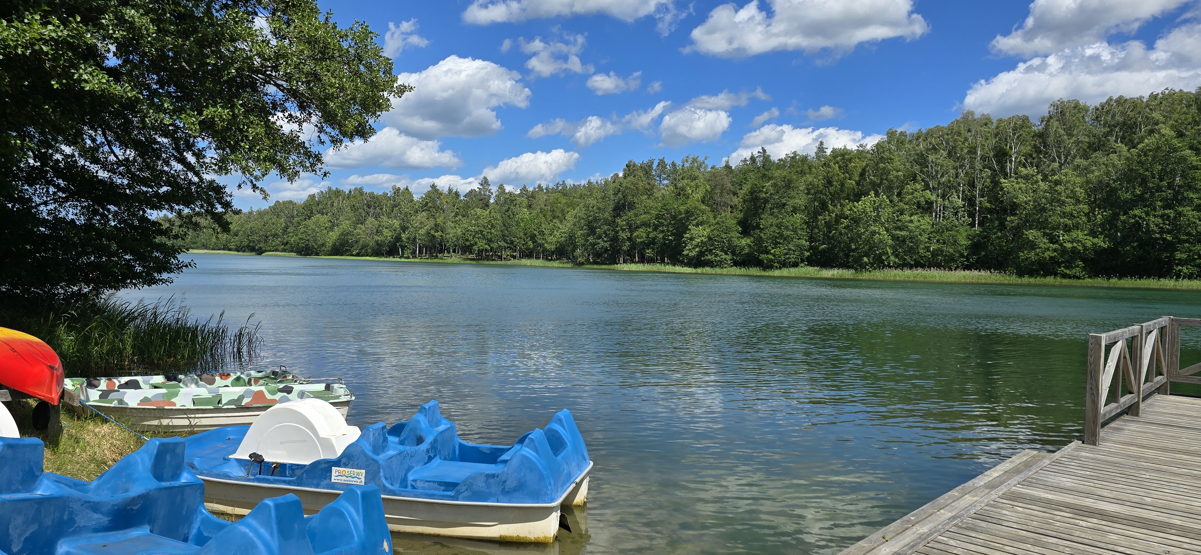 Dom Stacja Serwy logo